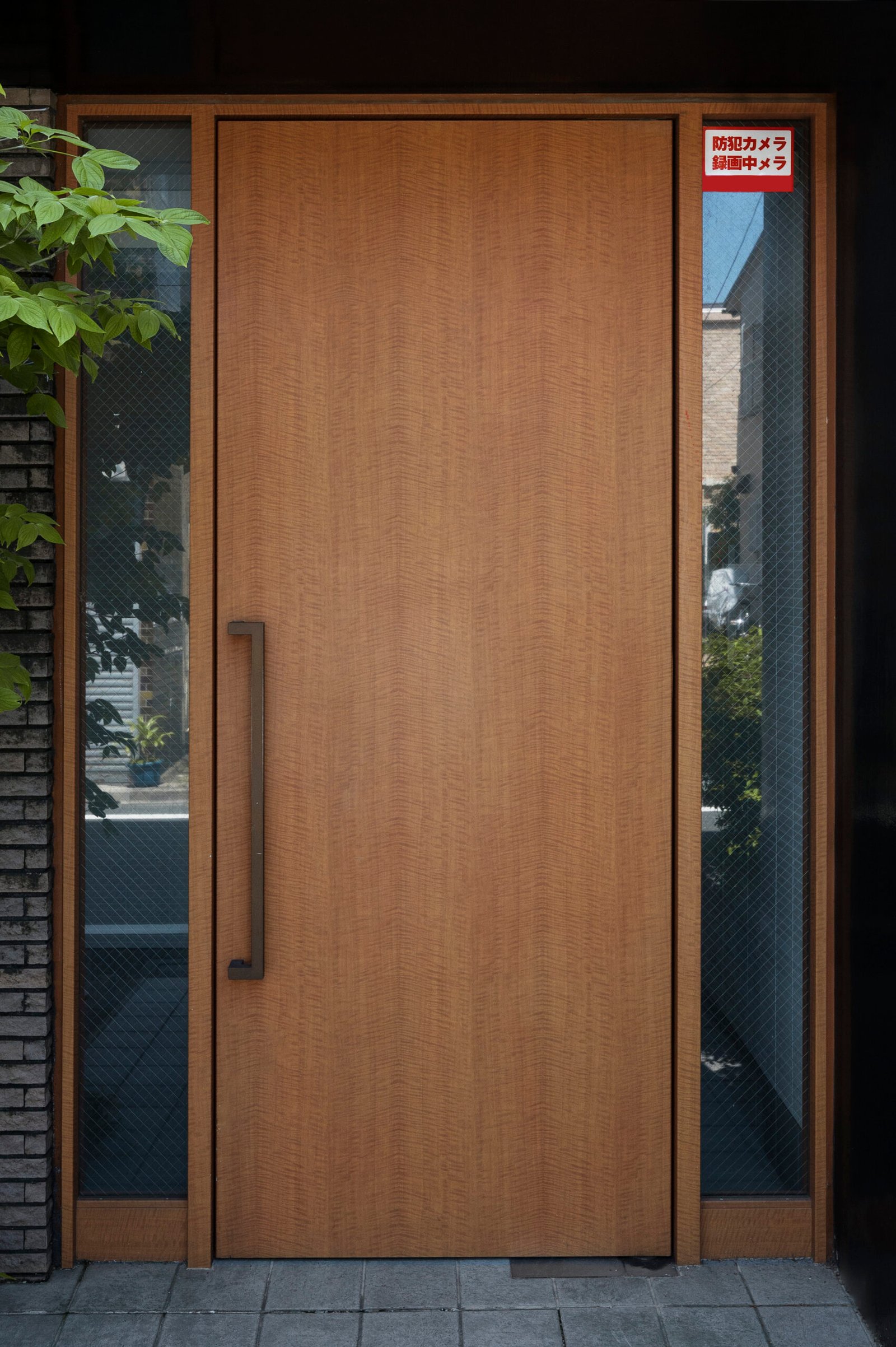 Flush Doors